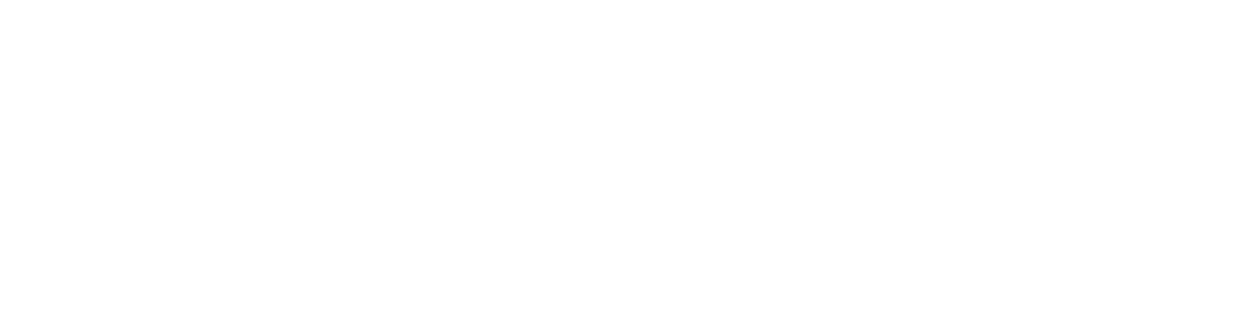ATLAS ELECTRONIC SAC